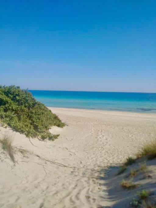 Villa Giovanna San Pietro in Bevagna Esterno foto