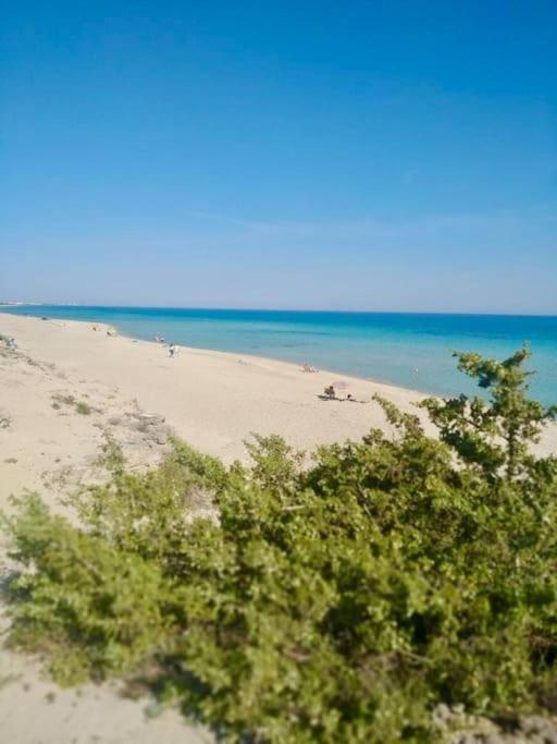 Villa Giovanna San Pietro in Bevagna Esterno foto
