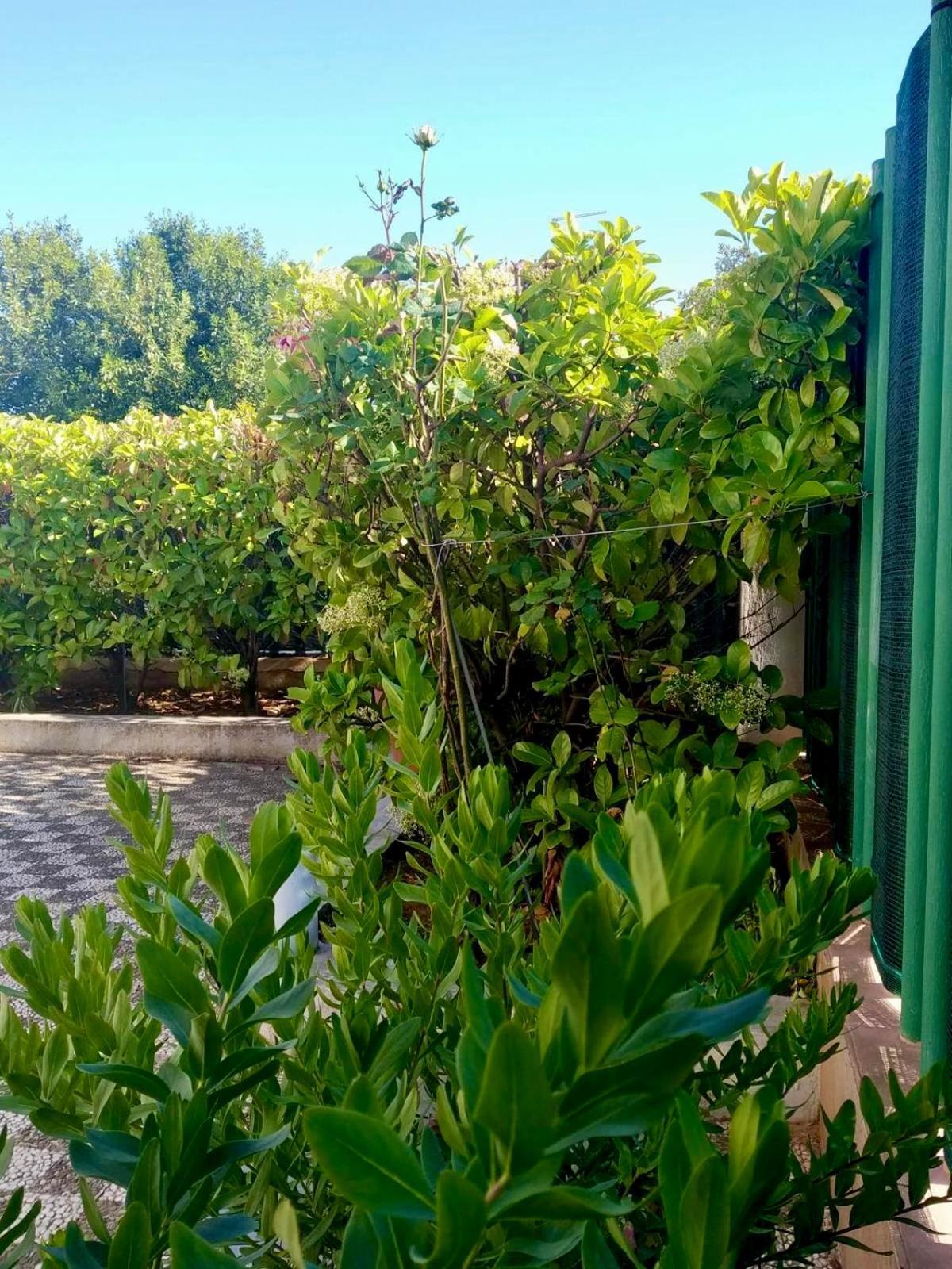 Villa Giovanna San Pietro in Bevagna Esterno foto